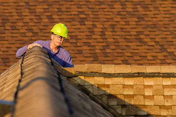 Best Roof Maintenance Services  in Linln Park, CO